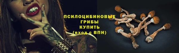 мдма Богданович