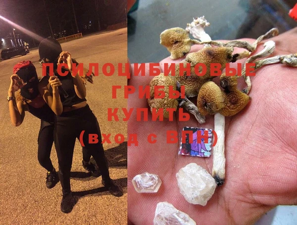 мдма Богданович