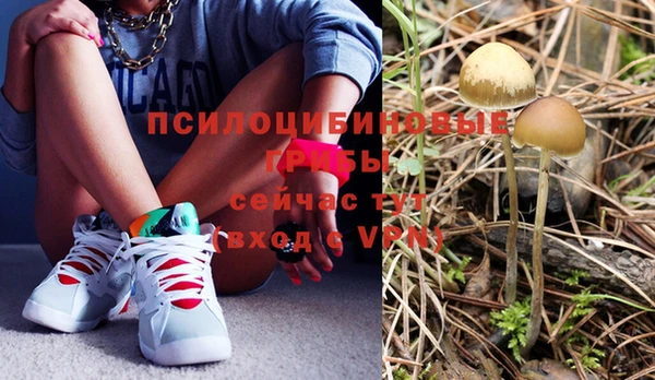 Альфа ПВП Богородицк