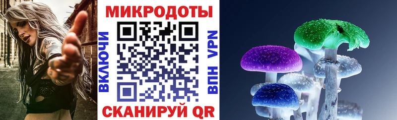 Галлюциногенные грибы Cubensis  Новосиль 
